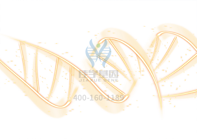 【佳學(xué)基因檢測】GM1神經(jīng)節(jié)苷脂2型基因解碼、<a href=http://www.kengyigeshiyige.com/tk/jiema/cexujishu/2021/31933.html>基因檢測</a>有什么用？