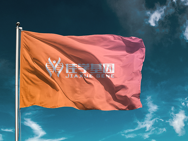 【佳學(xué)基因檢測(cè)】常染色體隱性<font color='red'>骨<font color='red'>硬化</font>病</font>7型基因解碼、基因檢測(cè)報(bào)告看到懂嗎？
