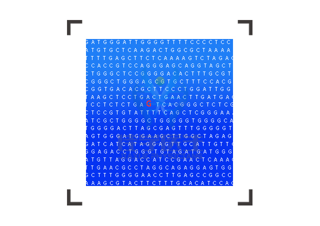 【佳學(xué)基因檢測(cè)】L-<font color='red'><font color='red'>谷氨</font><font color='red'>酰胺</font></font>基因檢測(cè)