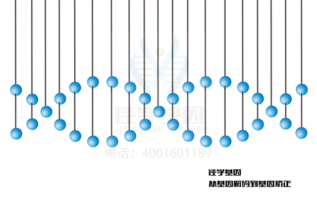 【佳學(xué)基因檢測(cè)】如何區(qū)分常見(jiàn)變異性免疫缺陷隱性遺傳基因解碼、<a  data-cke-saved-href=http://www.kengyigeshiyige.com/tk/jiema/cexujishu/2021/31933.html href=http://www.kengyigeshiyige.com/tk/jiema/cexujishu/2021/31933.html>基因檢測(cè)</a>？