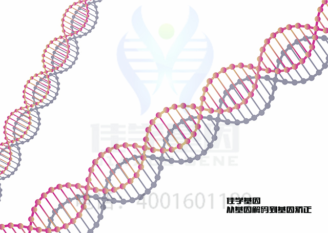 【佳學(xué)基因檢測(cè)】需要多長(zhǎng)時(shí)間可以拿振動(dòng)性蕁麻疹基因解碼、<a  data-cke-saved-href=http://www.kengyigeshiyige.com/tk/jiema/cexujishu/2021/31933.html href=http://www.kengyigeshiyige.com/tk/jiema/cexujishu/2021/31933.html>基因檢測(cè)</a>報(bào)告？