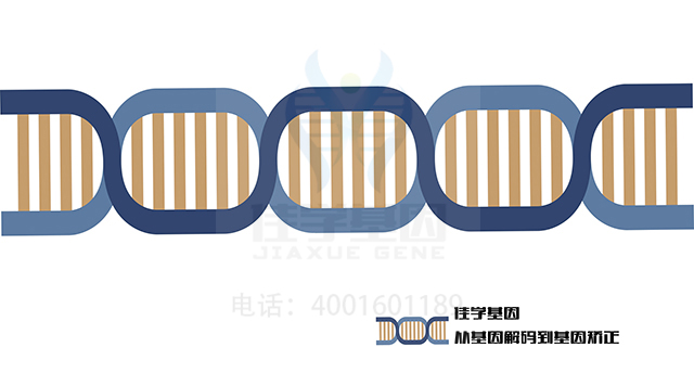 氨基酸氮源要素營養(yǎng)藥物<a href=http://www.kengyigeshiyige.com/tk/jiema/cexujishu/2021/31933.html>基因檢測</a>