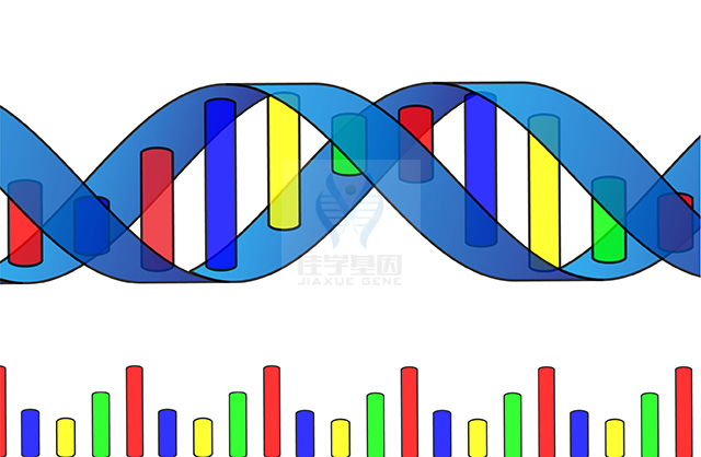 【佳學(xué)基因檢測(cè)】CHILD綜合征基因解碼、<a  data-cke-saved-href=http://www.kengyigeshiyige.com/tk/jiema/cexujishu/2021/31933.html href=http://www.kengyigeshiyige.com/tk/jiema/cexujishu/2021/31933.html>基因檢測(cè)</a>有什么用？
