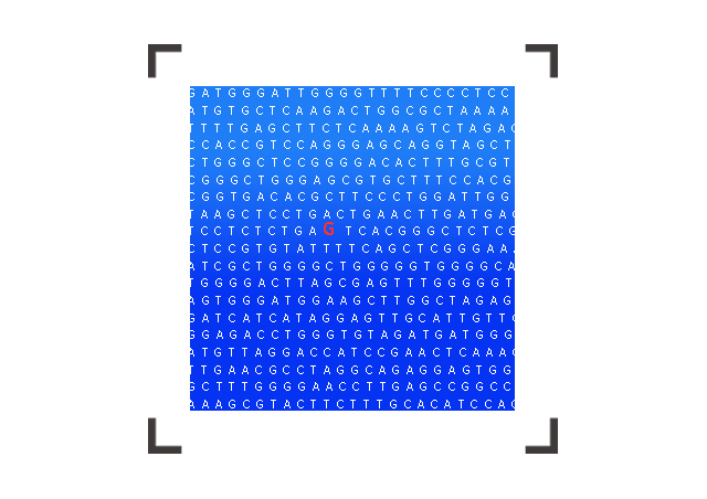 【佳學(xué)基因檢測】Acrocallosal綜合征基因解碼、<a href=http://www.kengyigeshiyige.com/tk/jiema/cexujishu/2021/31933.html>基因檢測</a>報(bào)告時(shí)間是一樣的嗎？