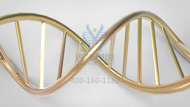 【佳學(xué)基因檢測(cè)】視網(wǎng)膜色素變性9型基因解碼、基因檢測(cè)的報(bào)告看得懂嗎？