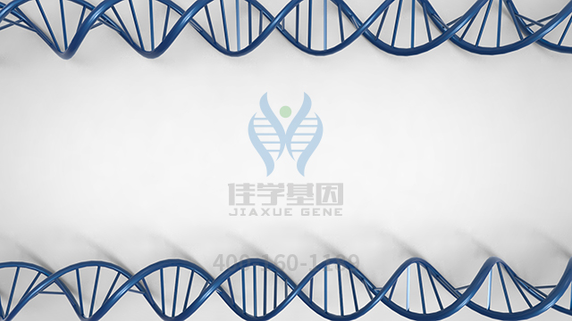 【佳學基因檢測】纖毛視網(wǎng)膜色素變性纖毛類疾病變異型基因解碼、<a href=http://www.kengyigeshiyige.com/tk/jiema/cexujishu/2021/31933.html>基因檢測</a>怎么預(yù)約解讀？