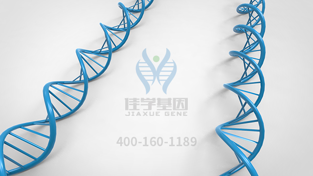 <b>【佳學(xué)基因檢測】原發(fā)性限局性皮膚淀粉樣變1型基因解碼、基因檢測報告時間</b>