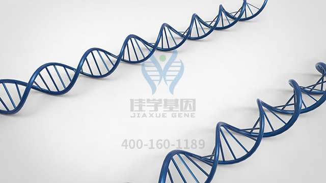 【佳學(xué)基因檢測(cè)】什么人要做GLUT1缺陷綜合征基因解碼、<a  data-cke-saved-href=http://www.kengyigeshiyige.com/tk/jiema/cexujishu/2021/31933.html href=http://www.kengyigeshiyige.com/tk/jiema/cexujishu/2021/31933.html>基因檢測(cè)</a>？