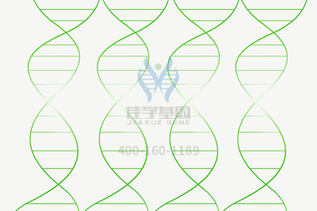 【佳學(xué)基因檢測】<font color='red'><font color='red'>Crigler-Najjar</font></font>綜合征基因解碼、基因檢測的樣品有區(qū)別嗎？