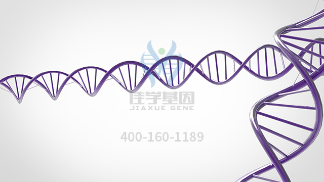 【佳學(xué)基因檢測】做痙攣性截癱顯性基因解碼、<a href=http://www.kengyigeshiyige.com/tk/jiema/cexujishu/2021/31933.html>基因檢測</a>采用什么樣品？