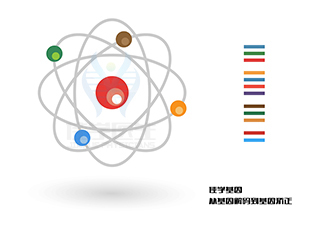 <b>【佳學(xué)基因檢測】什么人要做CLPB缺陷、3-甲基戊烯二酸尿癥7型基因解碼、基因</b>