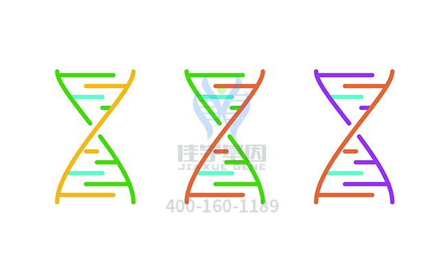 【佳學(xué)基因檢測】May-Hegglin異?；蚪獯a、<a href=http://www.kengyigeshiyige.com/tk/jiema/cexujishu/2021/31933.html>基因檢測</a>的報告看得懂嗎？