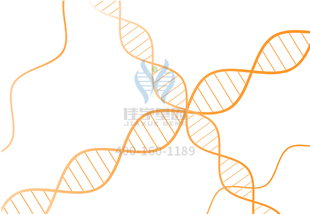 【佳學基因檢測】做BirkBa??rel智力障礙性畸形綜合征基因解碼、<a href=http://www.kengyigeshiyige.com/tk/jiema/cexujishu/2021/31933.html>基因檢測</a>采用什么樣品？