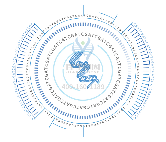 【佳學基因檢測】如何區(qū)分麥克爾綜合征（<font color='red'>Meckel</font>綜合征）13型基因解碼、基因檢測？