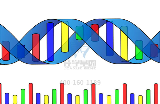 【佳學(xué)基因檢測(cè)】什么人要做梅克爾綜合征2型基因解碼、<a href=http://www.kengyigeshiyige.com/tk/jiema/cexujishu/2021/31933.html>基因檢測(cè)</a>？