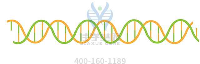 【佳學(xué)基因檢測】怎樣選擇GLUT1缺陷綜合征1型基因解碼、<a  data-cke-saved-href=http://www.kengyigeshiyige.com/tk/jiema/cexujishu/2021/31933.html href=http://www.kengyigeshiyige.com/tk/jiema/cexujishu/2021/31933.html>基因檢測</a>？