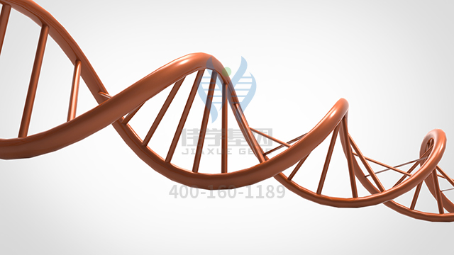 【佳學(xué)基因檢測】CLN10病基因解碼、<a href=http://www.kengyigeshiyige.com/tk/jiema/cexujishu/2021/31933.html>基因檢測</a>報告看得懂嗎？