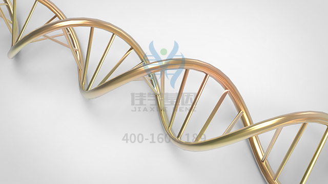 【佳學(xué)基因檢測(cè)】做孔源性視網(wǎng)膜脫離常染色體顯性基因解碼、<a href=http://www.kengyigeshiyige.com/tk/jiema/cexujishu/2021/31933.html>基因檢測(cè)</a>的費(fèi)用是多少？