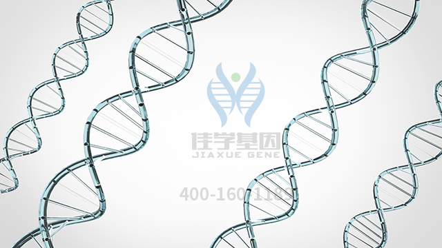 【佳學(xué)基因檢測(cè)】做血小板增多癥良性家族性小紅細(xì)胞型基因解碼、<a href=http://www.kengyigeshiyige.com/tk/jiema/cexujishu/2021/31933.html>基因檢測(cè)</a>需要多長(zhǎng)時(shí)間？