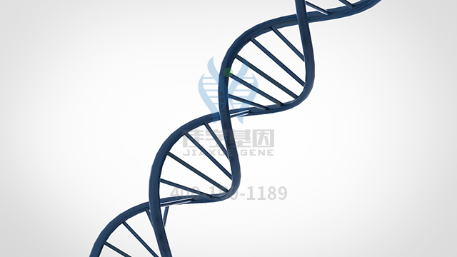 【佳學(xué)基因檢測】<font color='red'><font color='red'>Chanarin-Dorfman</font></font>基因解碼、基因檢測的報(bào)告有人解讀嗎？