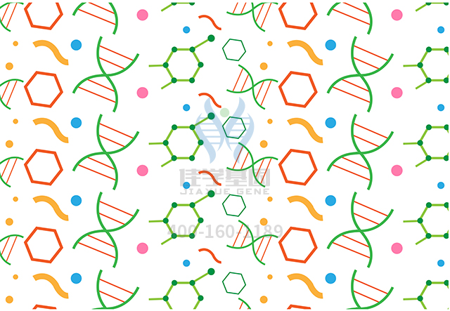【佳學基因檢測】什么人要做<font color='red'>Li</font>-<font color='red'><font color='red'>Fraumeni</font></font>樣綜合征基因解碼、基因檢測？
