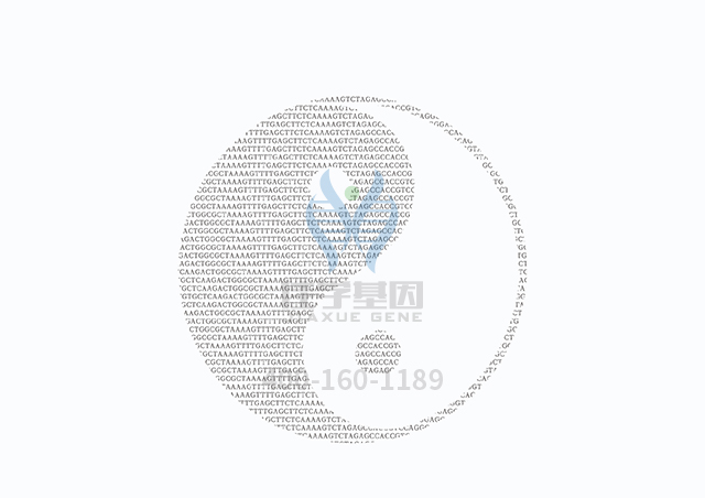 【佳學(xué)基因檢測(cè)】甲狀腺激素抵抗基因解碼、<a  data-cke-saved-href=http://www.kengyigeshiyige.com/tk/jiema/cexujishu/2021/31933.html href=http://www.kengyigeshiyige.com/tk/jiema/cexujishu/2021/31933.html>基因檢測(cè)</a>怎么預(yù)約解讀？