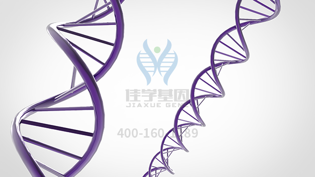 【佳學(xué)基因檢測】生精障礙Y連鎖2型基因解碼、<a href=http://www.kengyigeshiyige.com/tk/jiema/cexujishu/2021/31933.html>基因檢測</a>的報告看得懂嗎？