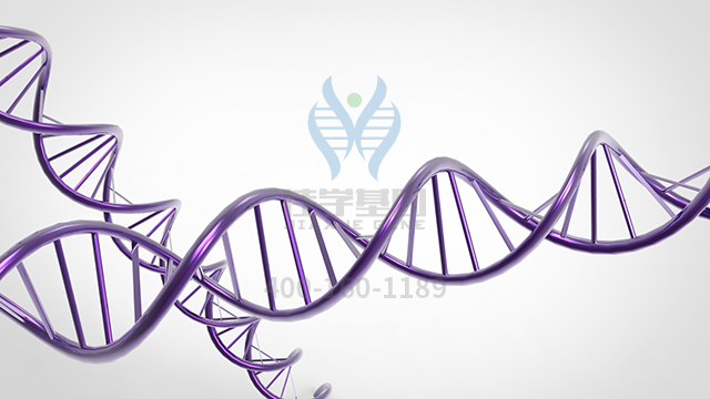 【佳學基因檢測】做常染色體顯性扭轉(zhuǎn)型肌張力障礙4型基因解碼、<a href=http://www.kengyigeshiyige.com/tk/jiema/cexujishu/2021/31933.html>基因檢測</a>需要多長時間？