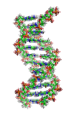 【佳學(xué)基因檢測(cè)】做先天性缺牙基因解碼、<a href=http://www.kengyigeshiyige.com/tk/jiema/cexujishu/2021/31933.html>基因檢測(cè)</a>需要到總部嗎？
