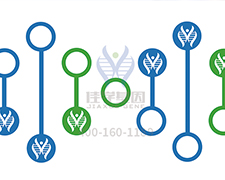 【佳學(xué)基因檢測(cè)】甲苯磺丁脲響應(yīng)基因解碼、<a href=http://www.kengyigeshiyige.com/tk/jiema/cexujishu/2021/31933.html>基因檢測(cè)</a>怎么預(yù)約解讀？