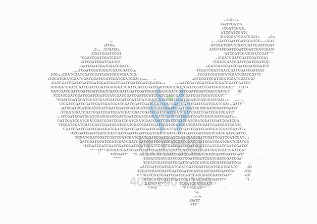 【佳學(xué)基因檢測】SDHB相關(guān)疾病基因解碼、<a href=http://www.kengyigeshiyige.com/tk/jiema/cexujishu/2021/31933.html>基因檢測</a>可以只做基因解碼嗎？