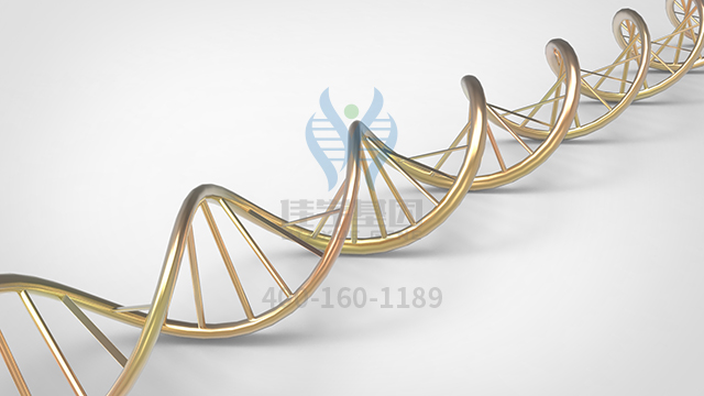 【佳學(xué)基因檢測(cè)】做先天性短腸綜合征X連鎖基因解碼、<a href=http://www.kengyigeshiyige.com/tk/jiema/cexujishu/2021/31933.html>基因檢測(cè)</a>的費(fèi)用是多少？