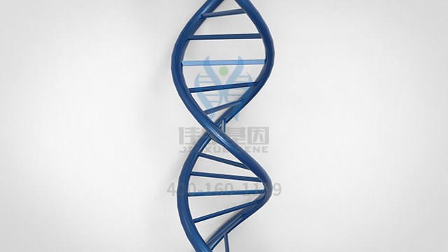 脫氧核糖核苷酸鈉藥物<a href=http://www.kengyigeshiyige.com/tk/jiema/cexujishu/2021/31933.html>基因檢測(cè)</a>