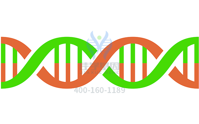 【佳學基因檢測】做肺表面活性物質代謝功能障礙顯性基因解碼、<a href=http://www.kengyigeshiyige.com/tk/jiema/cexujishu/2021/31933.html>基因檢測</a>需要到總部嗎？
