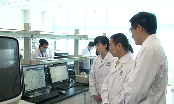 【佳學(xué)基因檢測】α-2-巨球蛋白缺乏癥基因解碼、<a href=http://www.kengyigeshiyige.com/tk/jiema/cexujishu/2021/31933.html>基因檢測</a>可以只做<a href=http://www.kengyigeshiyige.com/tk/jiema/cexujishu/2021/31933.html>基因檢測</a>嗎？