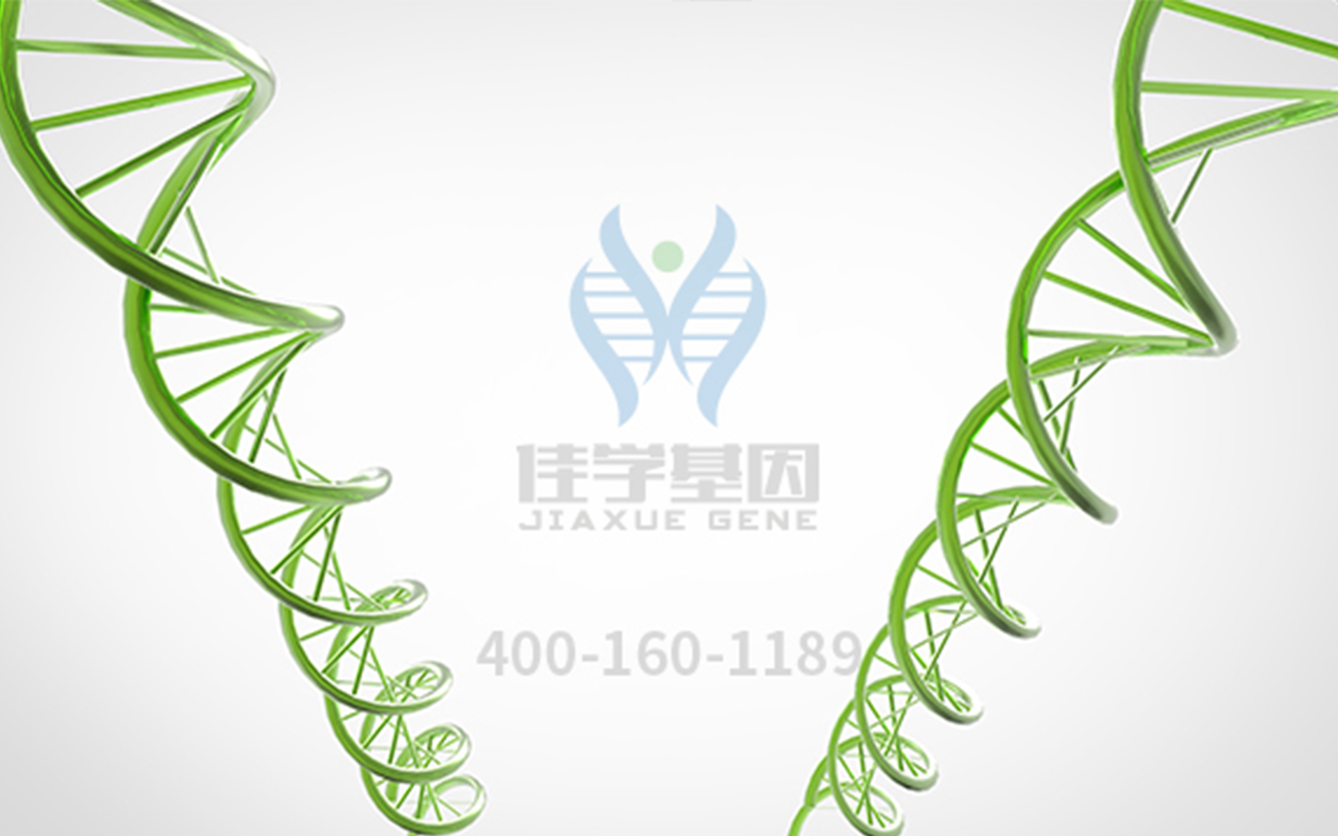 【佳學(xué)基因檢測】眼科遺傳病基因解碼<a href=http://www.kengyigeshiyige.com/tk/jiema/cexujishu/2021/31933.html>基因檢測</a>-<font color='red'>無<font color='red'>虹膜</font></font>癥和Gillespie綜合征