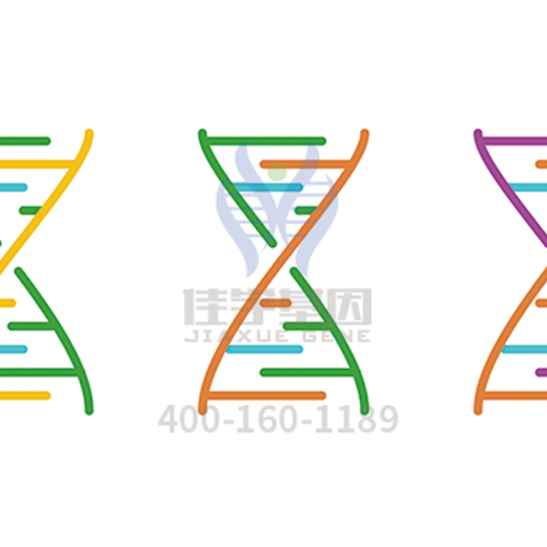 【眼科遺傳病】<font color='red'>BEST</font>病基因解碼、<a href=http://www.kengyigeshiyige.com/tk/jiema/cexujishu/2021/31933.html>基因檢測</a>