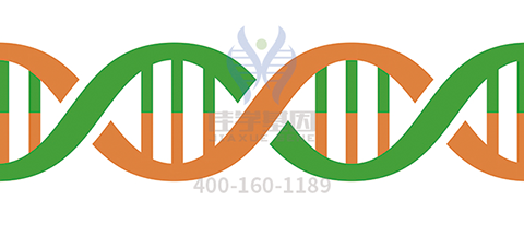 【佳學基因檢測】<font color='red'><font color='red'>特發(fā)</font>性<font color='red'>震顫</font></font>基因解碼、<a href=http://www.kengyigeshiyige.com/tk/jiema/cexujishu/2021/31933.html>基因檢測</a>